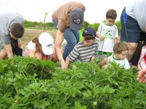 [Image: Farm Visit]