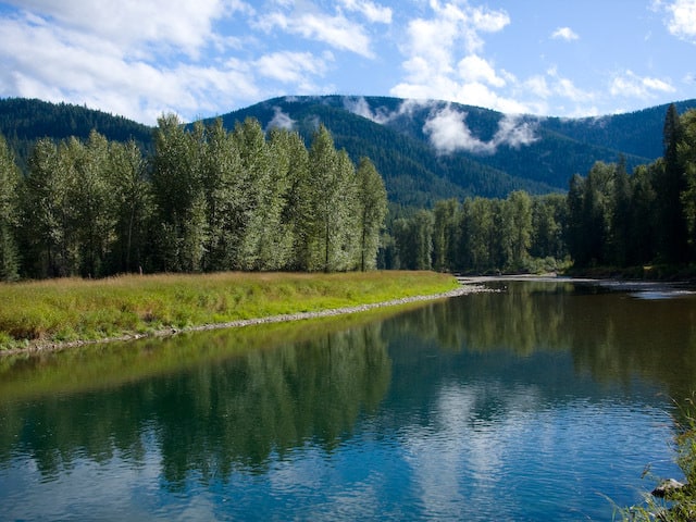 Couer d'Alene National Forest