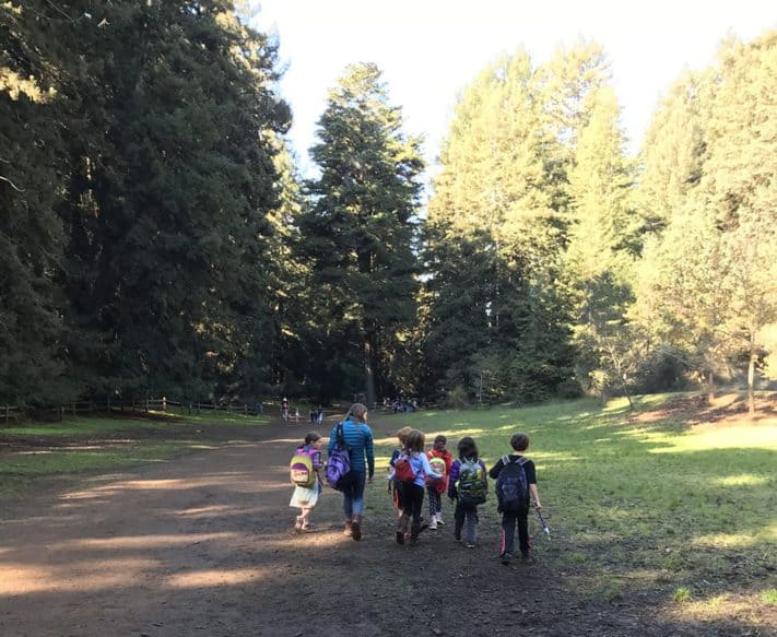 B’hootz children in the Oakland Redwood Forest, November 13, 2016 | Photo: Daniella Aboody
