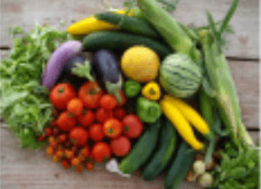 Vegetables and fruit