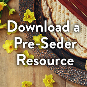 download Hazon and JIFA's pre-seder resource