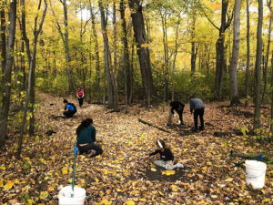 6 individuals are spread throughout a forested scene, not facing the camera. Yellow and brown trees extend beyond the top and sides of the image while brown soil and yellow fallen le