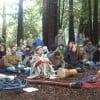 Tu B'Shvat in the Redwoods