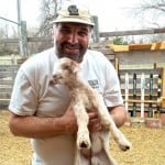 [Rabbi Marc Soloway with a baby goat]