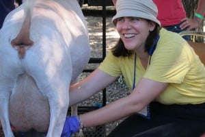 [Image: Milking a goat at the 2011 Food Conference]