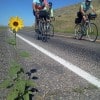 Bikers-with-Sunflower