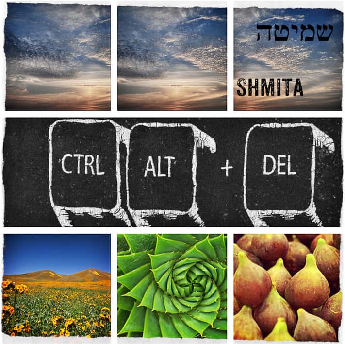 shmita-collage