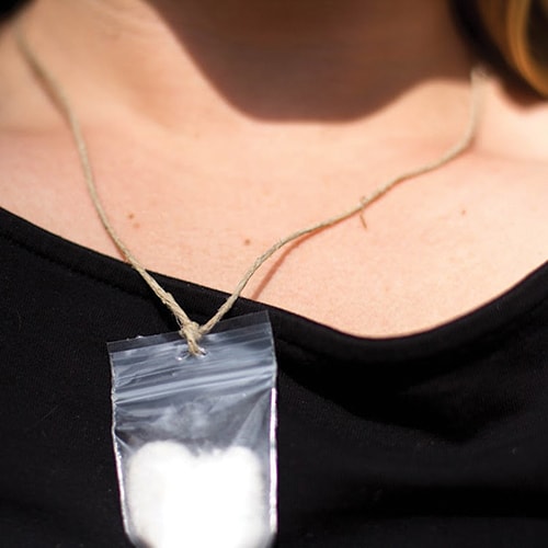 Seed Necklaces