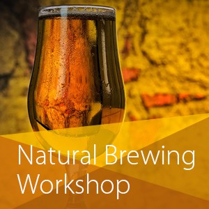 Natural Brewing Workshop in Riverdale