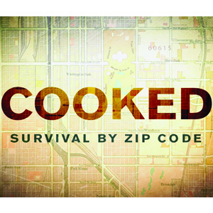 Screening and Panel Discussion of COOKED: Survival by Zip Code
