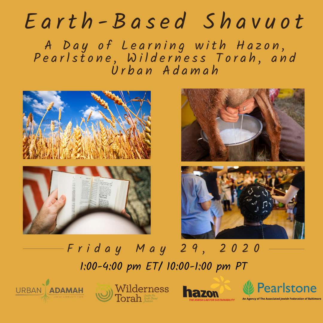 Earth-Based Shavuot: A Day of Learning with Hazon, Pearlstone, Wilderness Torah, and Urban Adamah