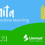 Limmud | Shmita: A Half Day of Online Learning