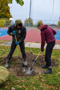 Two individuals holding large shovels stand outdoors on a grassy area next to a basketball court. The pair are dressed for winter weather and are looking toward the ground as they dig a hole revealing the brown soil below the green grass.
